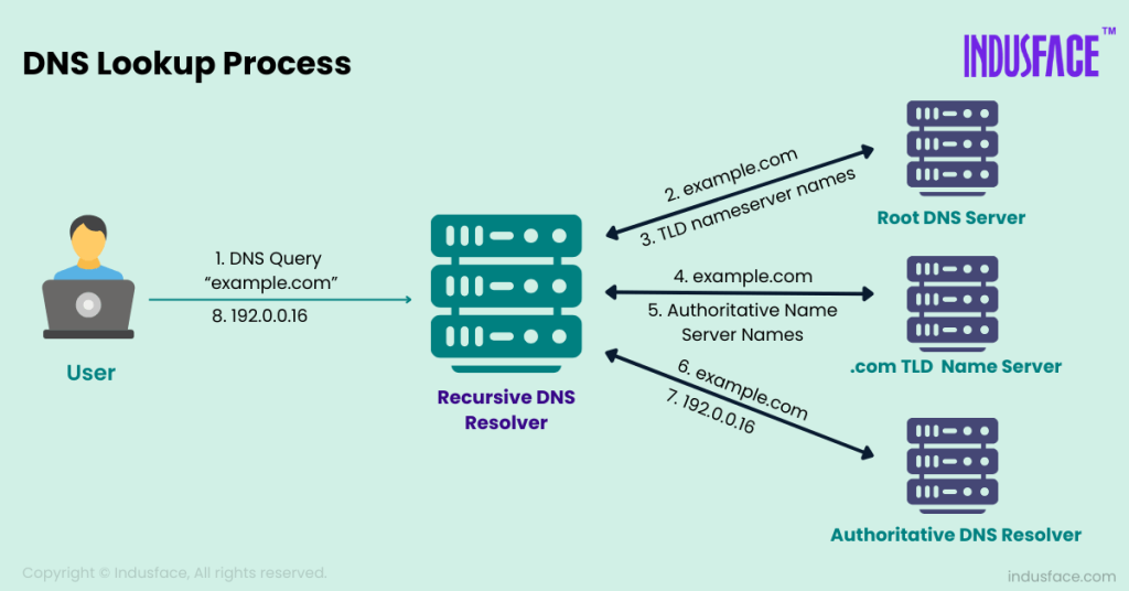 DNS Lookup